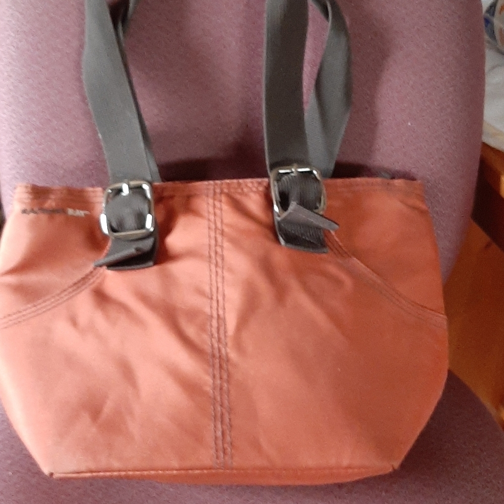 Rachel Ray Insulated bag
